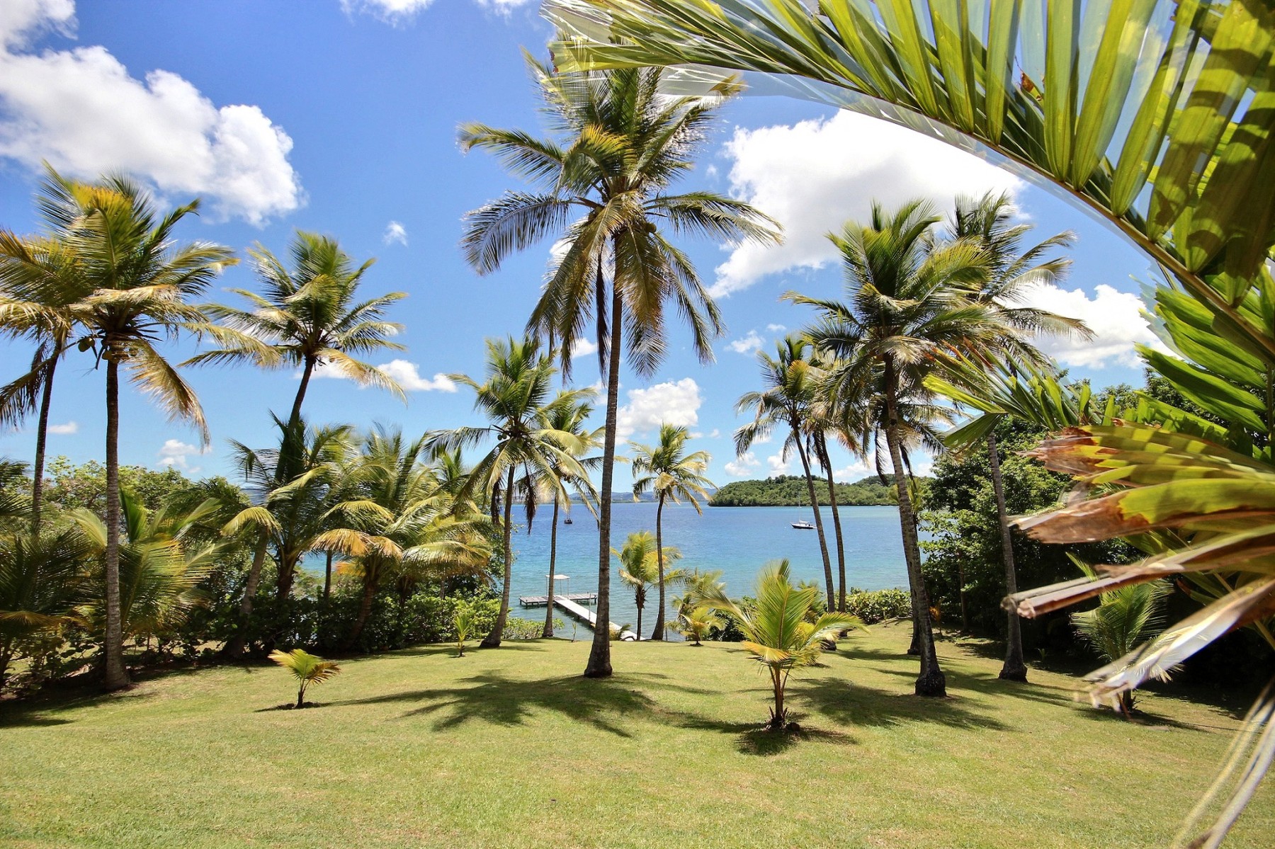 Trois-Îlets - Villa 4 ou 6 chambres en bord de mer avec piscine